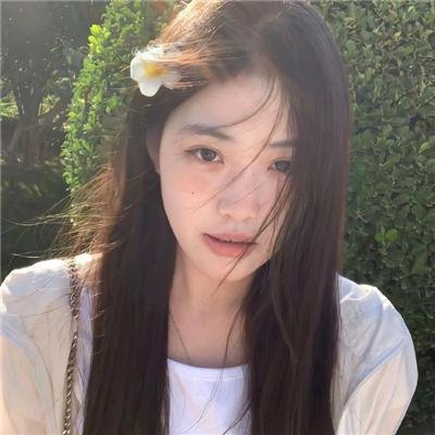 女王鲨